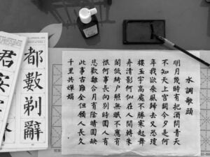 time 2 care - chinesische wissenschaften, schriftzeichen