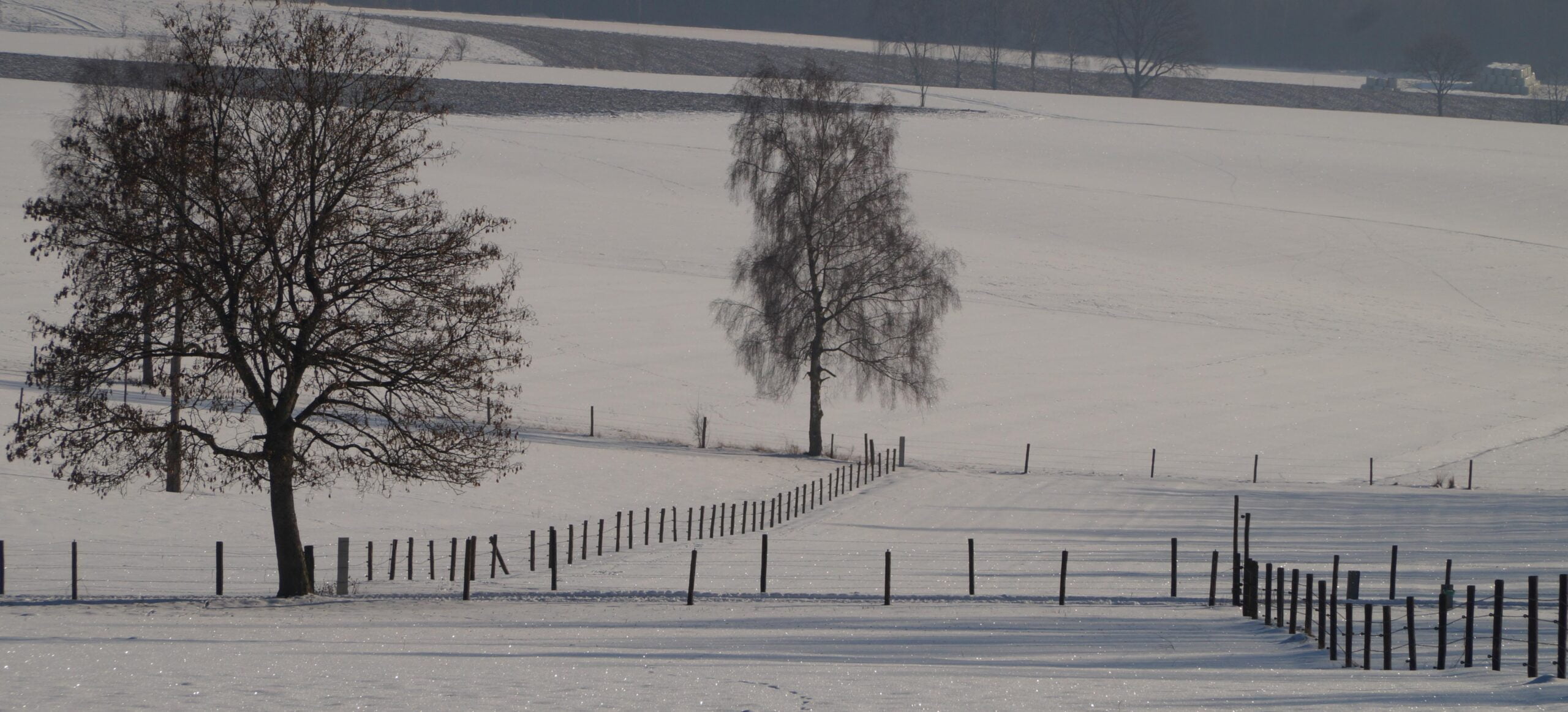 Elements2Balance - winter