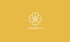 time2care - Aromatrix • Nachtkerzenöl - Trägeröl