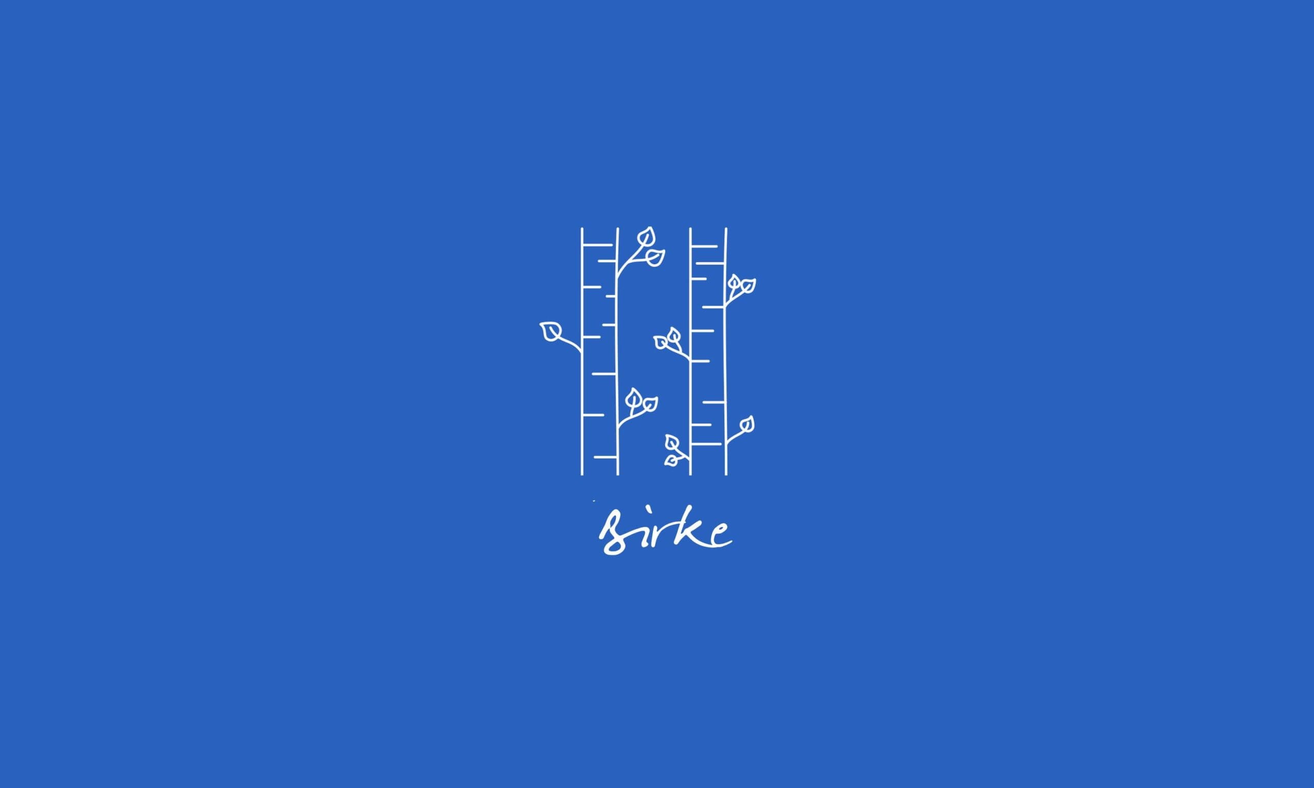 time2care - Aromatrix • Birke