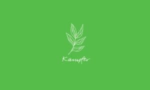 Elements2Balance - Aromatrix • Holz • Kampfer