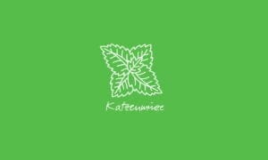 Elements2Balance - Aromatrix • Holz • Katzenminze
