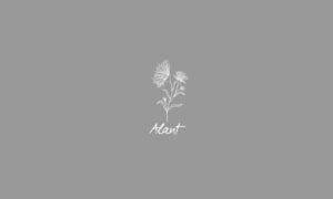 Elements2Balance - Aromatrix • Metall • Alant