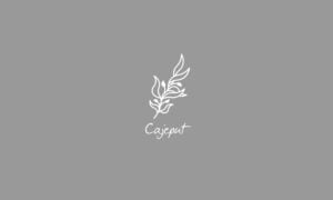 Elements2Balance - Aromatrix • Metall • Cajeput