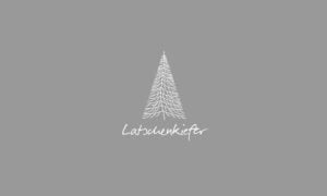 Elements2Balance - Aromatrix • Metall • Latschenkiefer