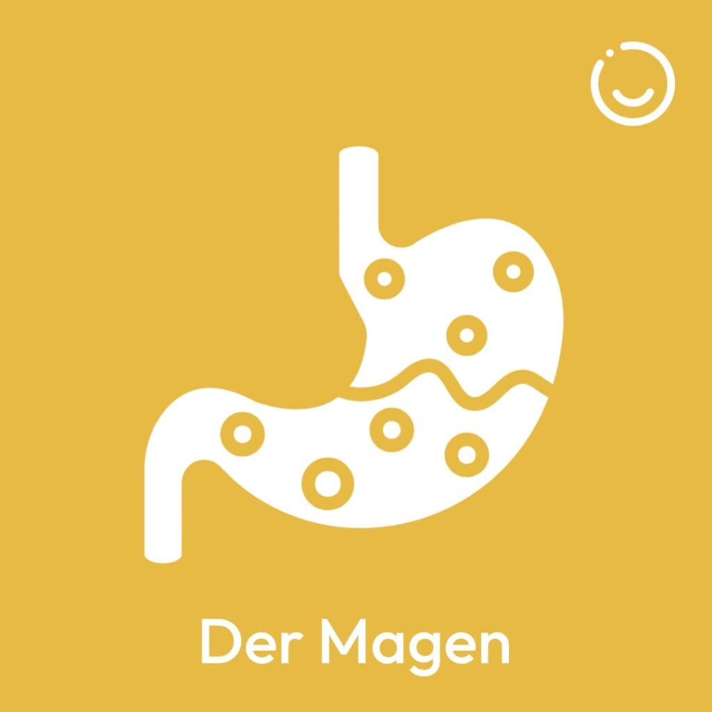 Elements2Balance - Mondstation der Magen