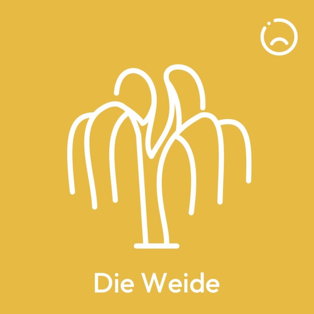 Elements2Balance - Mondstation die Weide