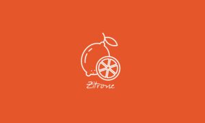 Elements2Balance - Aromatrix • Erde • Zitrone