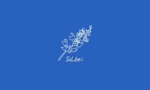 time2care - Aromatrix • Salbei