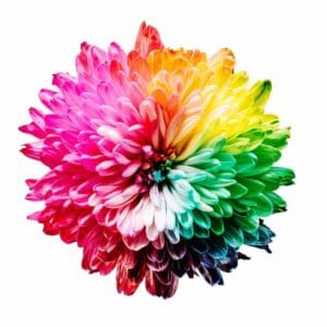 Elements2Balance - Aroma Mixer